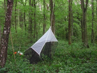 Trap ID 13 – SE, Ög, Ödeshögs kommun, Omberg, Stocklycke skog (broad-leaved deciduous forest)