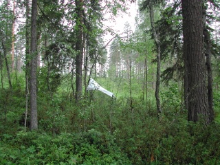 Trap ID 51 - SE, Vb, Skellefteå kommun, Brännbergets naturreservat, close to northern info-sign (mixed boreal forest)