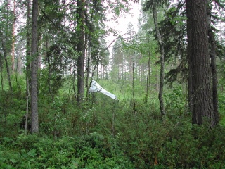 Trap ID 51 - SE, Vb, Skellefteå kommun, Brännbergets naturreservat, close to northern info-sign (mixed boreal forest)