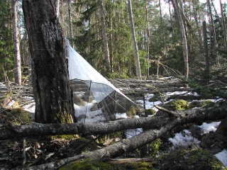 Trap ID 1000 - SE, Sm, Nybro kommun, Bäckebo, Grytsjöns nature reserve, (old aspen forest in boulder terrain)