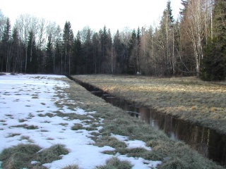 Trap ID 1001 - SE, Sm, Nybro kommun, Bäckebo, Grytsjöns nature reserve, (Old moisty haymaking meadow at edge of mixed forest)