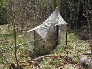 Trap ID 1008 – SE, Sm, Nybro kommun, Alsterbro, Alsterån (mixed forest)