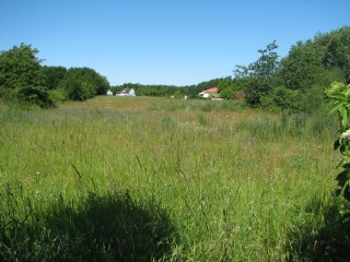 Trap ID 2046 – SE, Sm, Torsås Kommun, Söderåkra, Påboda (small village garden)