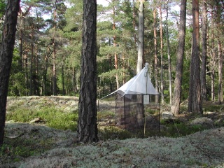 Trap ID 3 - SE, Sö, Haninge kommun, Tyresta, Urskogsslingan, pine forest on flat-rock