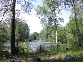Trap ID 7 - SE, Up, Älvkarleby kommun, Båtfors, between Milsten and Båtforstorpet (mixed pine forest)