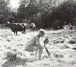 Bertil Kullenberg studying Fly Orchid