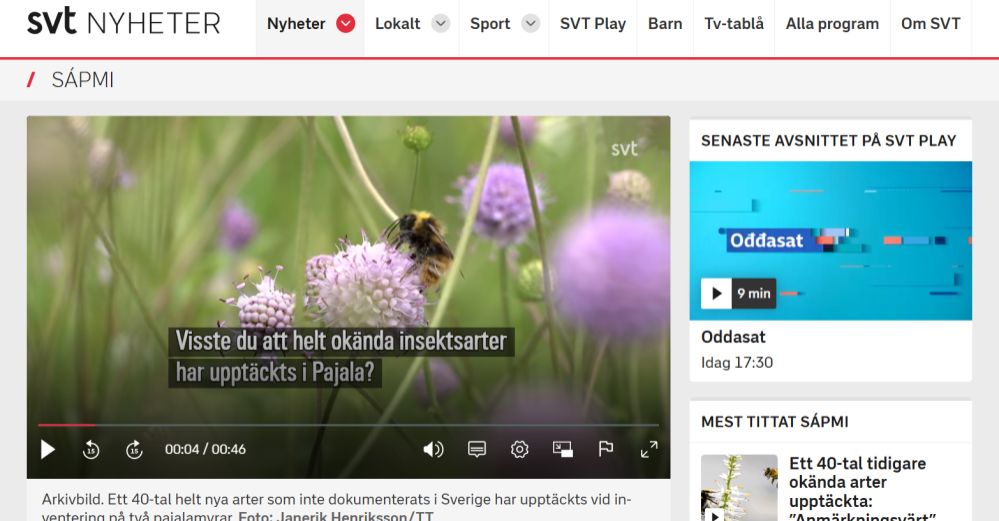 Skärmdump av nyhet på SVT Nyheter/Sápmi